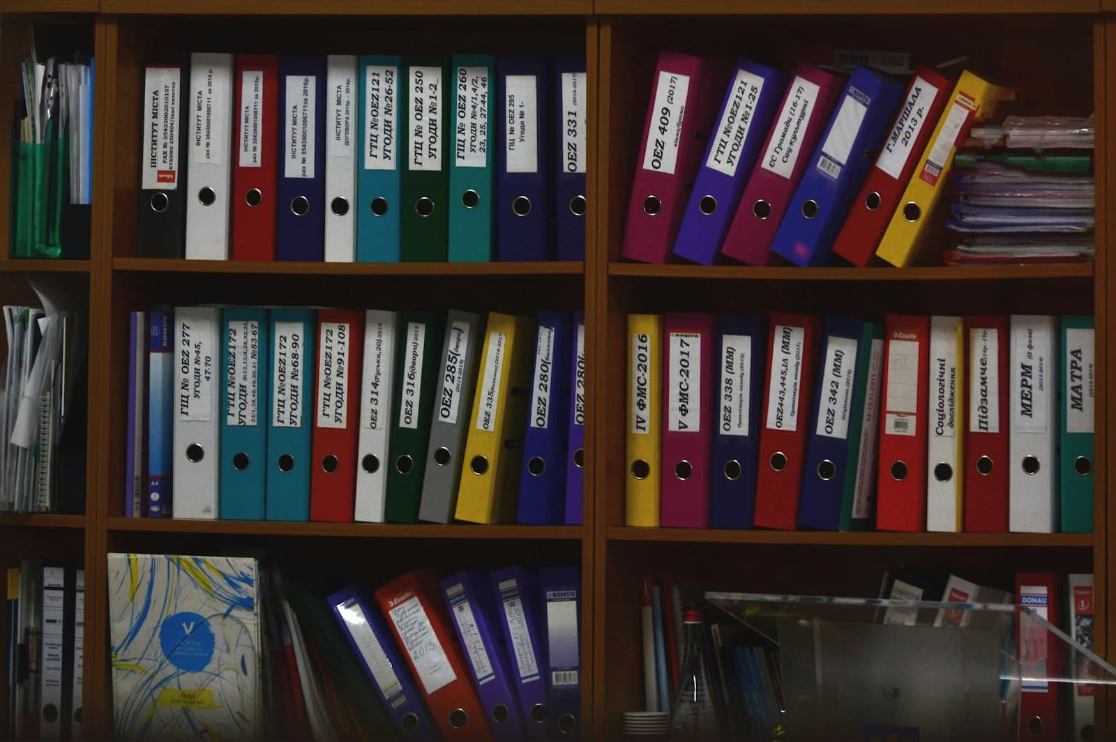 Rows of ring binders organised on office shelves